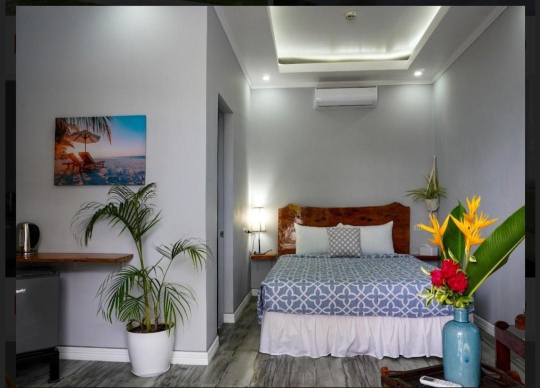 Palm View Moalboal Hotel Bagian luar foto